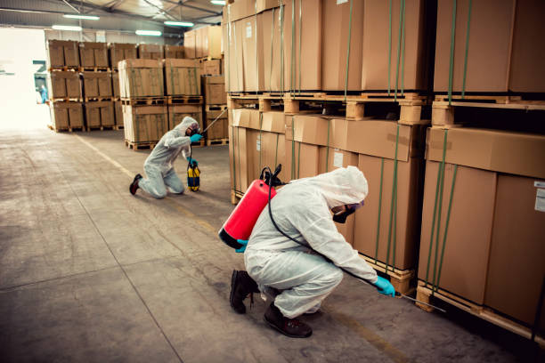 Trusted Narberth, PA Pest Control Experts