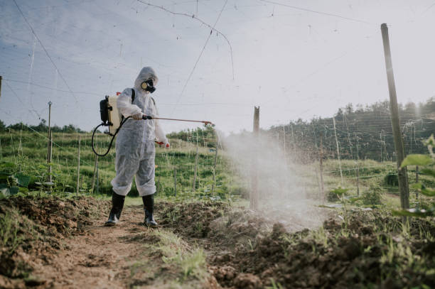 Best Mosquito Control Services  in Narberth, PA