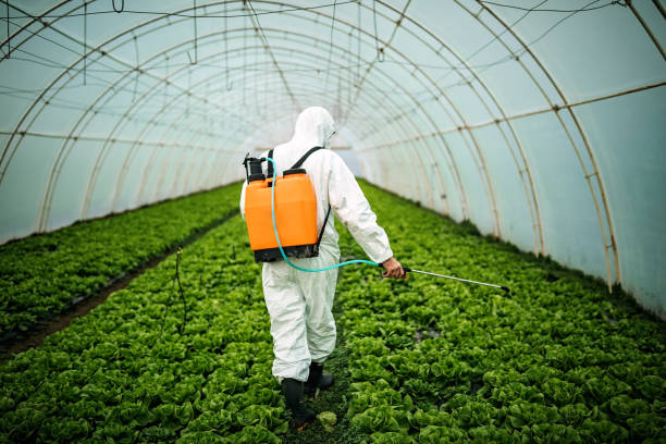 Best Affordable Pest Control Services  in Narberth, PA