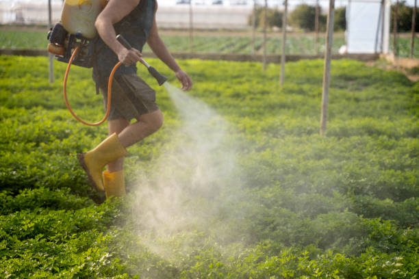 Best Local Pest Control Services  in Narberth, PA