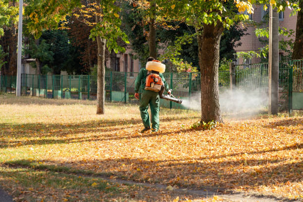 Best Termite Control Services  in Narberth, PA