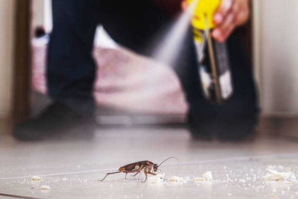 Best Commercial Pest Control Services  in Narberth, PA