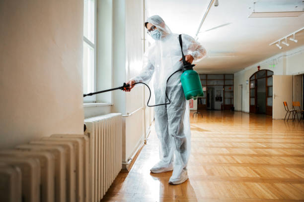 Pest Prevention Services in Narberth, PA