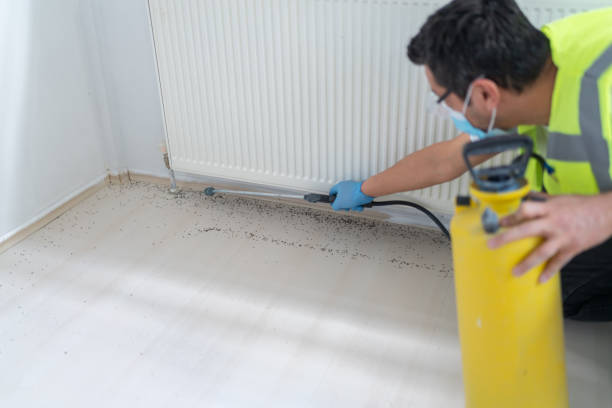 Best Best Pest Control Companies  in Narberth, PA