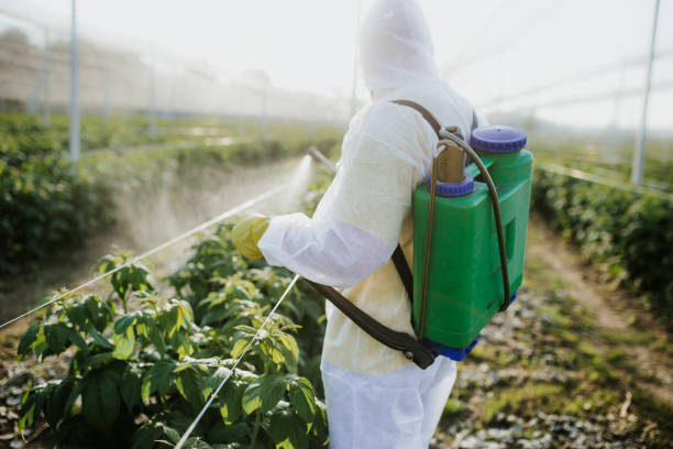 Best Pest Prevention Services  in Narberth, PA